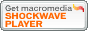 wShockwave_Player!!